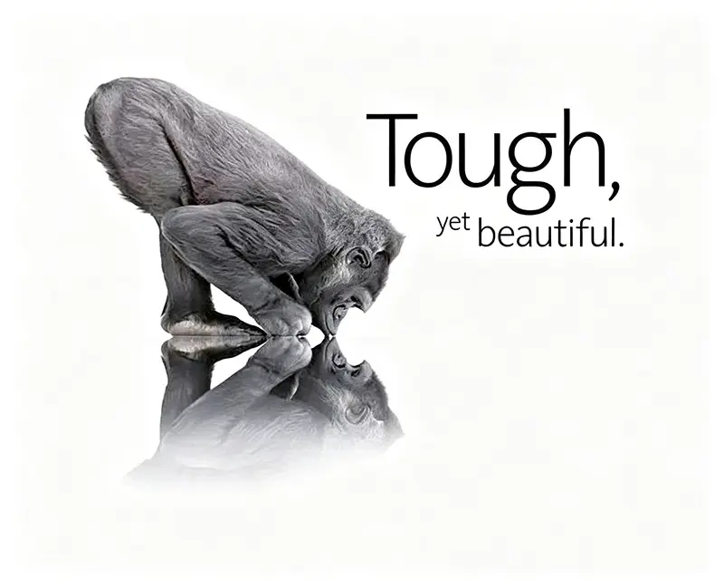 Corning Gorilla Glass for display protection
